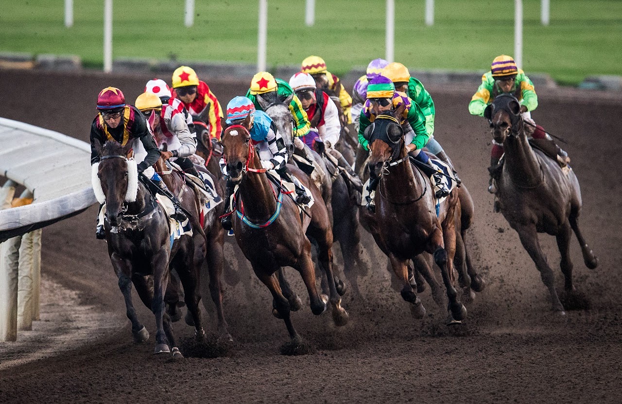 A pack of race horses turning on a track.