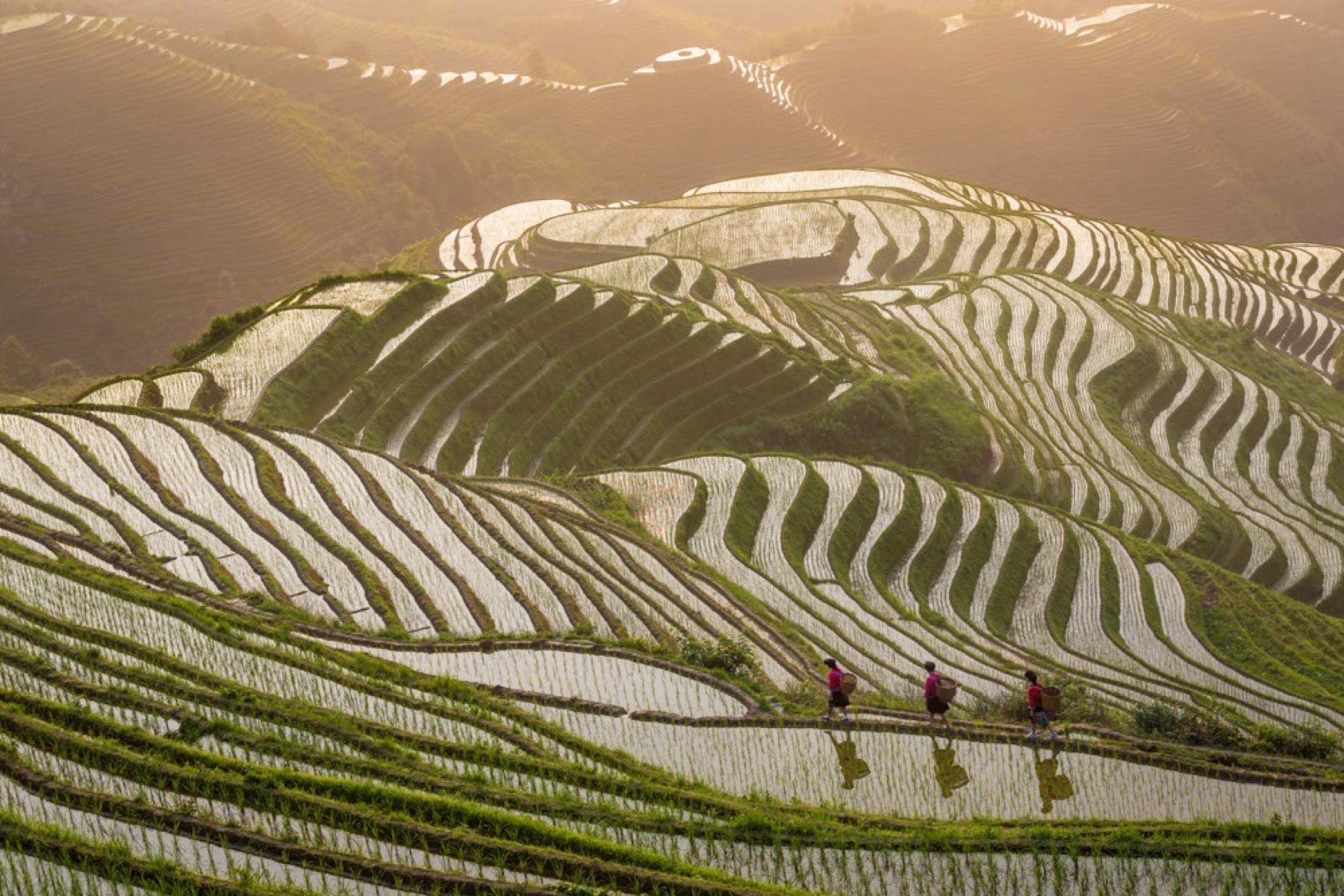 Travel: China Documentary Studies project image.