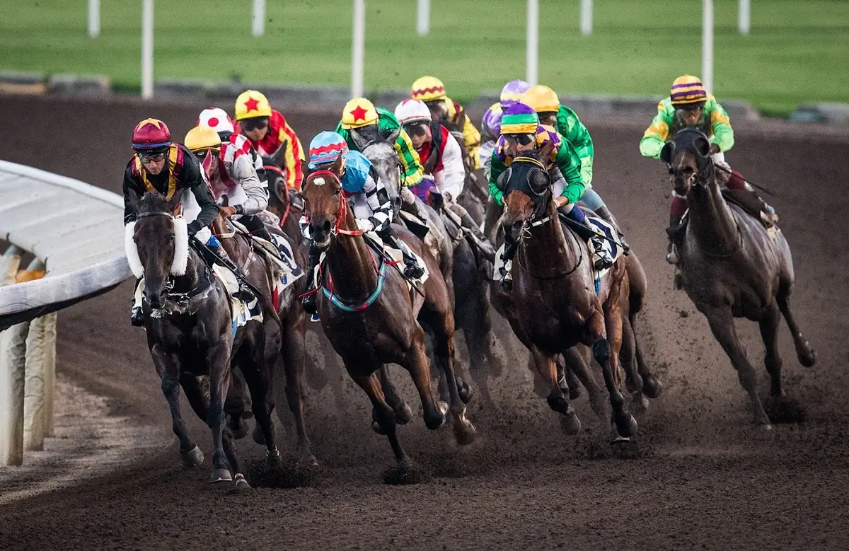 Horse racing pack.