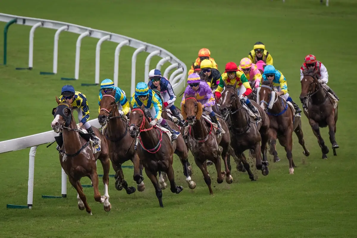 Racehorses rounding a green turf track in a dense pack.