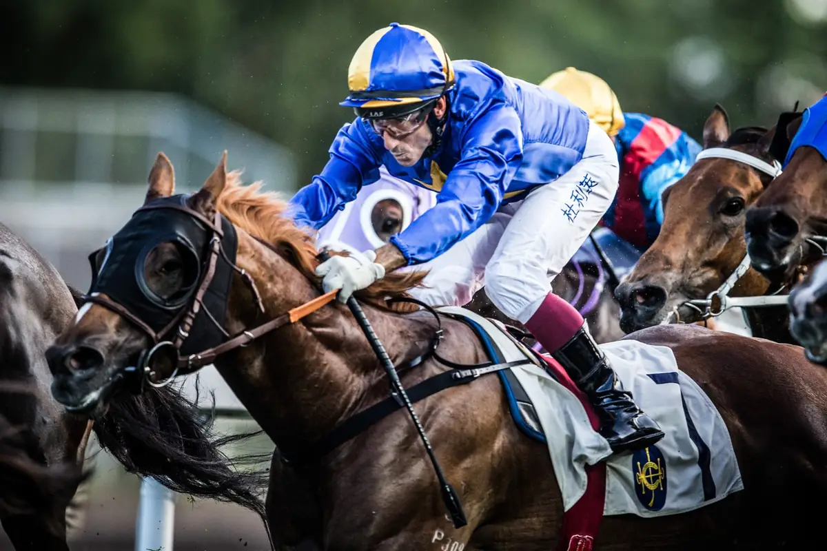 Jockey in blue silks leaning low over a horse in a racing pack.