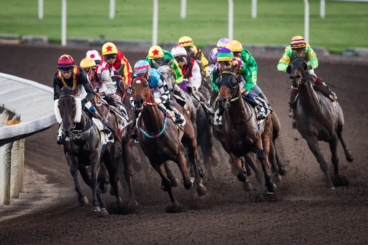 Racehorses entering a turn on a dark track surface.