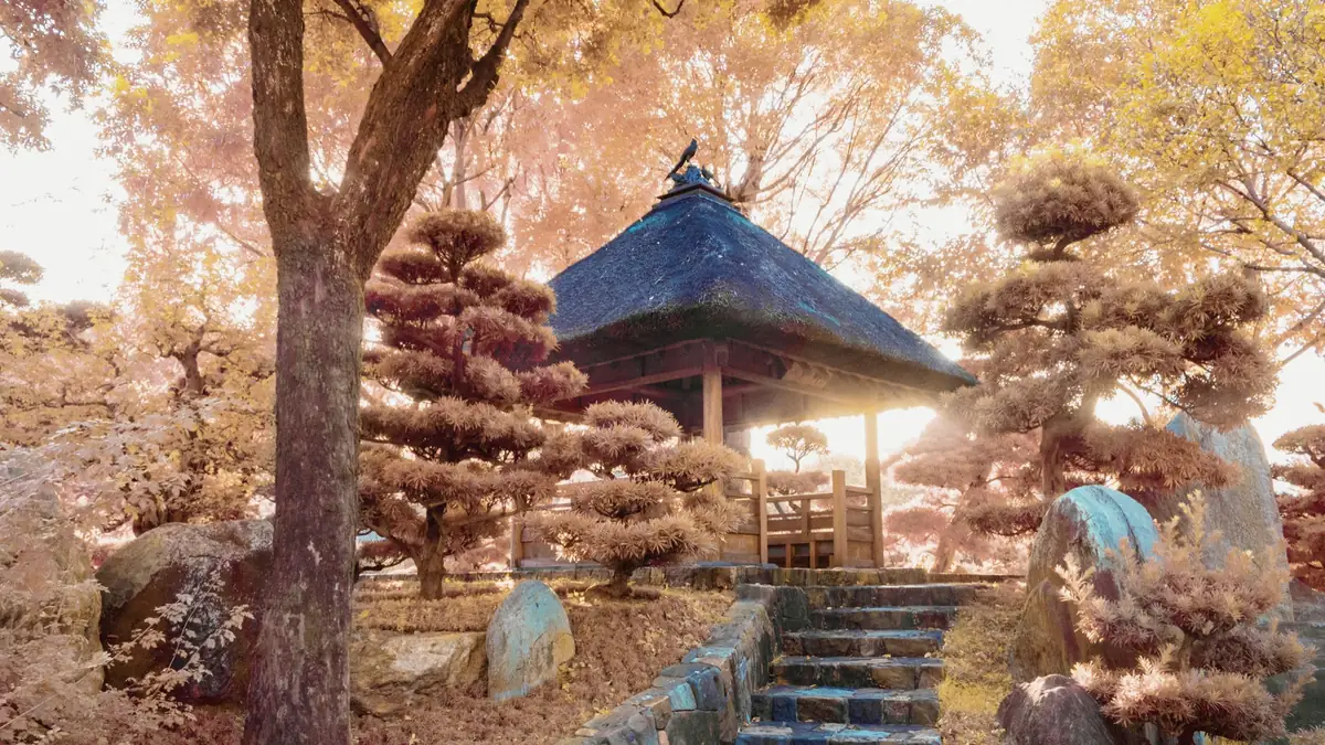 Infrared garden path with pavilion and person.