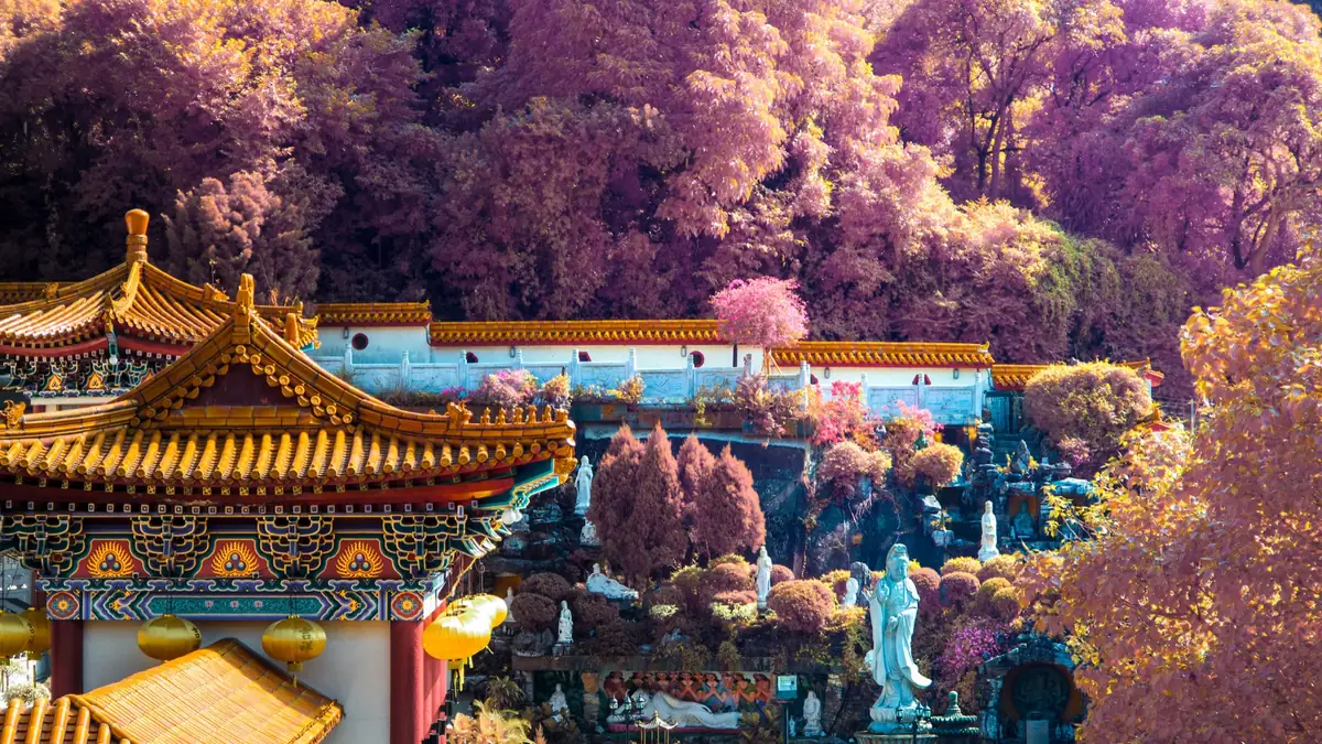 Infrared photograph of temple roofs and trees.