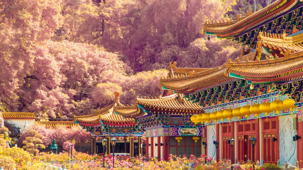 Infrared view of ornate garden architecture and pale trees.