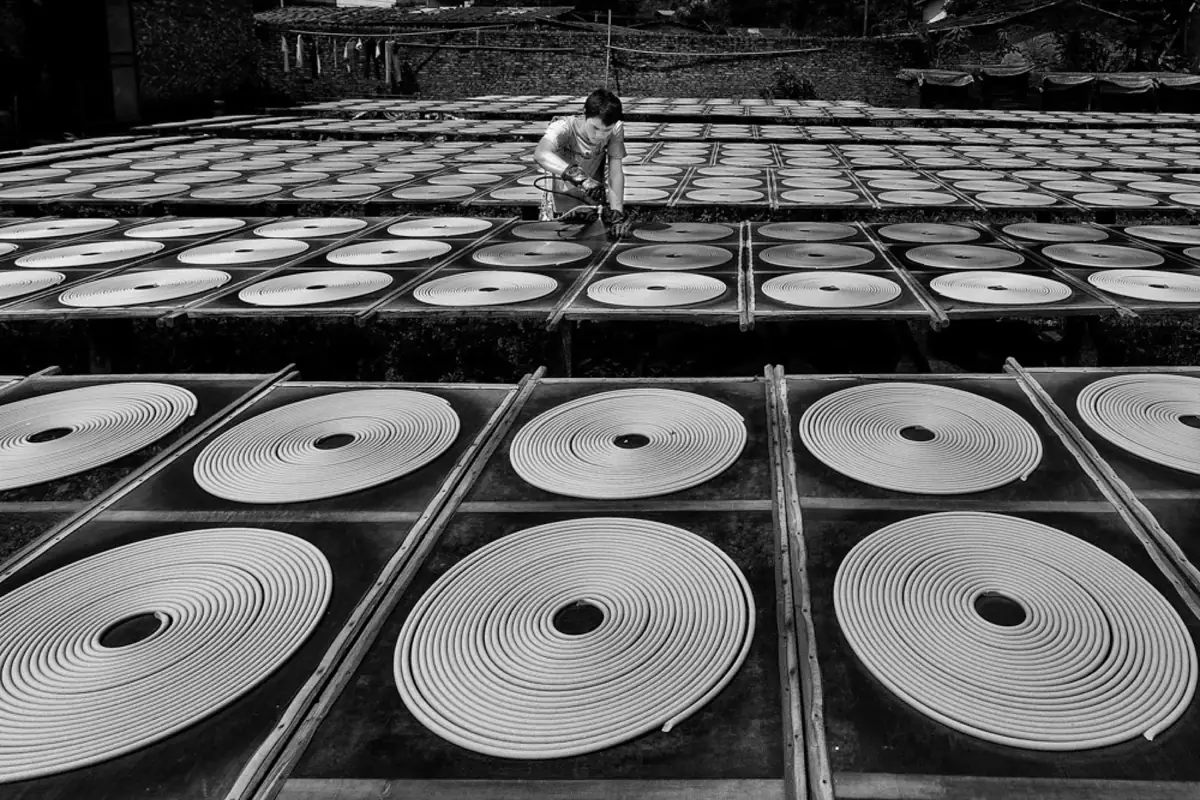 Black-and-white view of circular coils drying in rows with a worker.